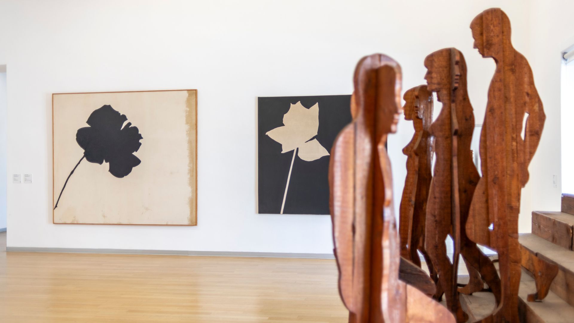 Visita gratuita con interprete LIS - Gesti e processi