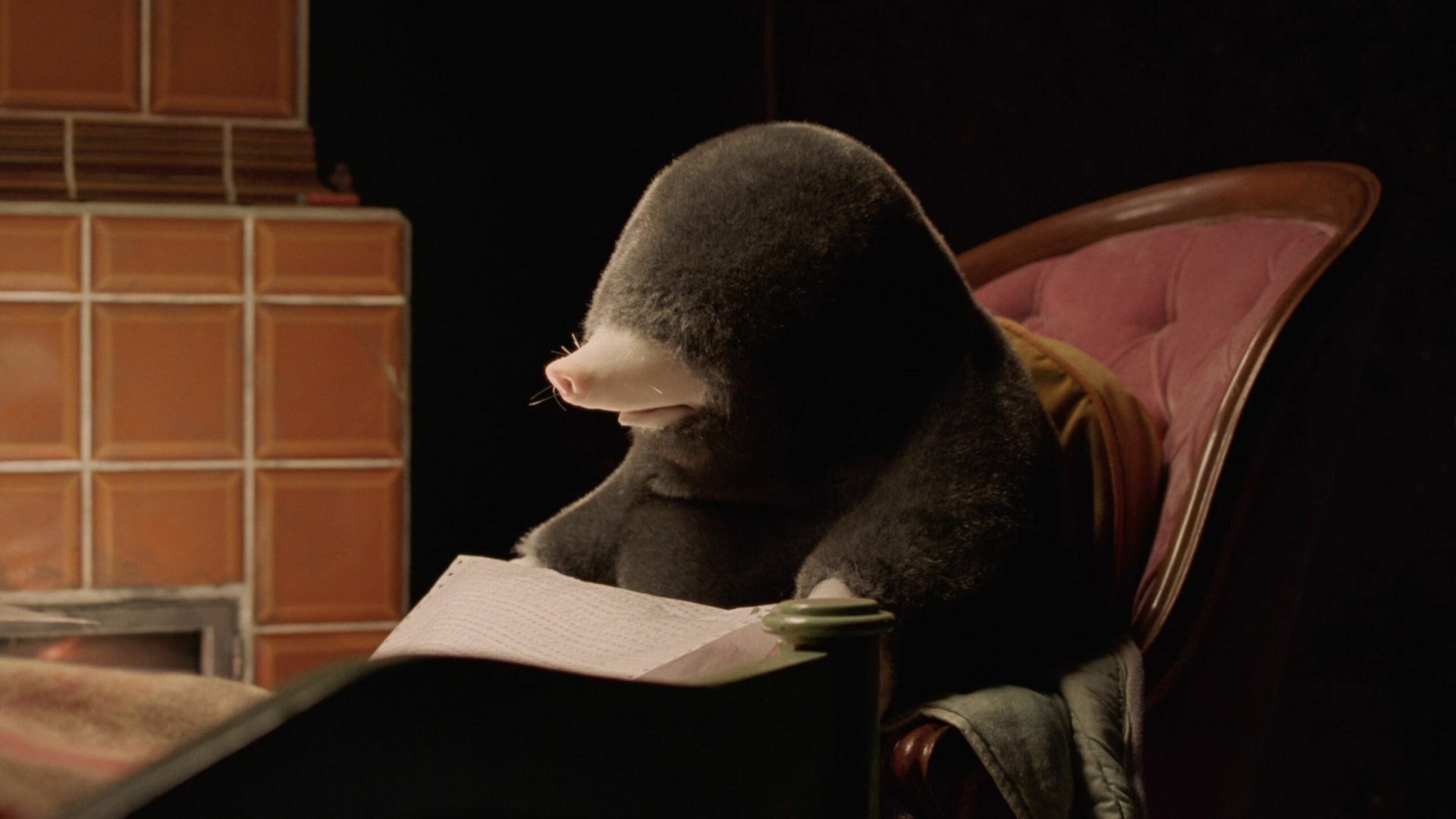 Proiezione di "Dolle (2023)" di Diego Marcon