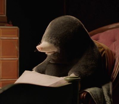 Vai alla pagina Proiezione di "Dolle (2023)" di Diego Marcon