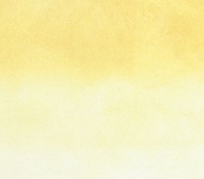 Vai alla pagina Valentino Vago. Sguardo sulle collezioni: la nuova acquisizione