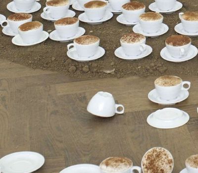 Vai alla pagina Paola Pivi. Focus ACACIA